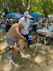 2022 07 03 ARLES  UNE JOURNEE AVEC L'ARAPA (20).jpg